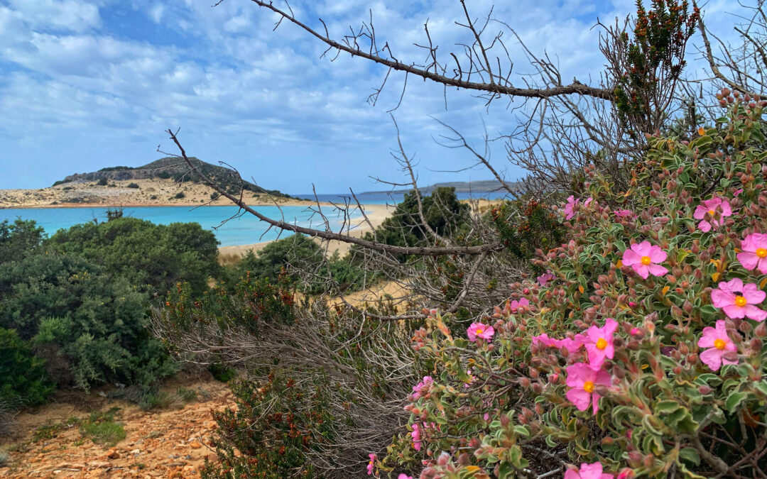 Primavera a Elafonissos